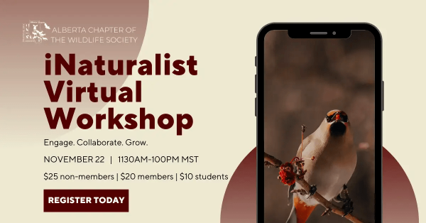 iNaturalist Virtual Workshop