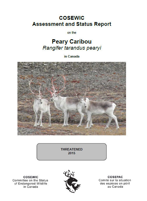 Report cover with photo of 3 caribou with large antlers standing on the tundra