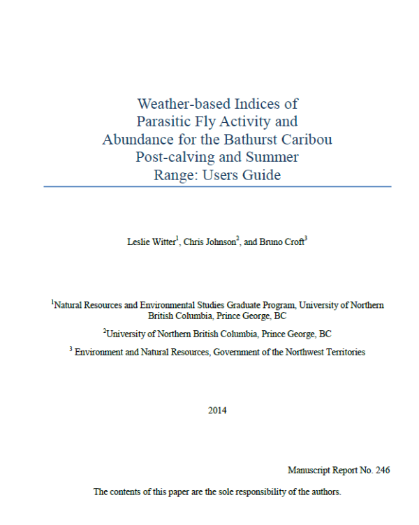 Report cover that is fully text (no images), including title, authors, organization and year