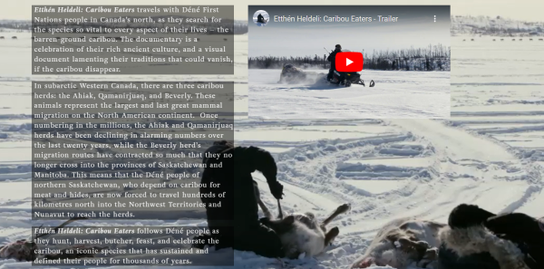 Text boxes describing the documentary are overlaid on a large background image of a hunter in a snowy landscape processing a caribou, and a box showing a hunter on snowmobile with an arrow indicating &quot;play video&quot;