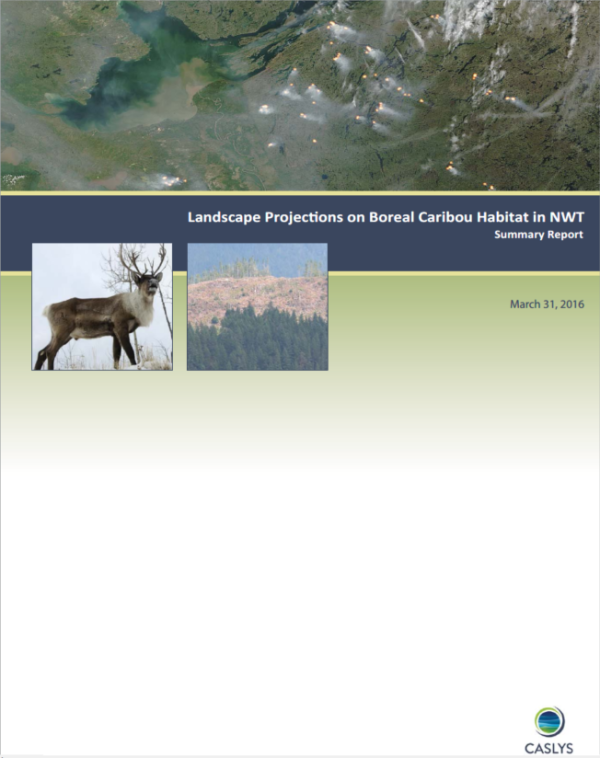 Landscape Projections on Boreal Caribou Habitat in NWT Report Cover