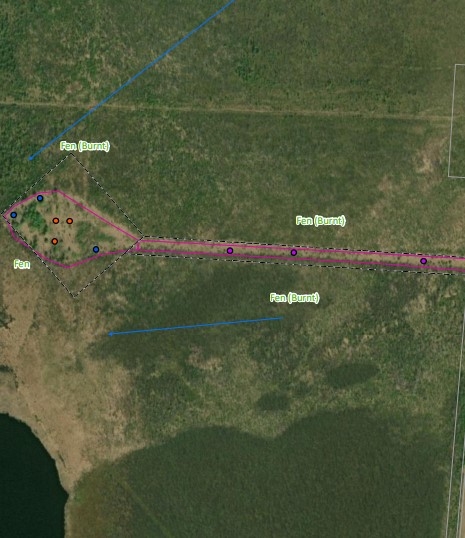 Wellsite in peatland