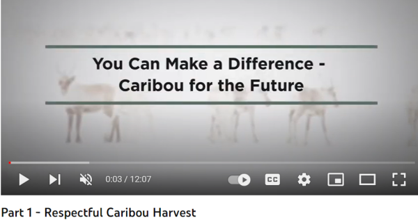 Text 'You Can Make a Difference- Caribou for the Future' is written above a washed out photo of caribou in the snow.