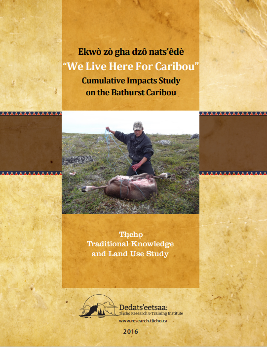 We Live Here for Caribou cover