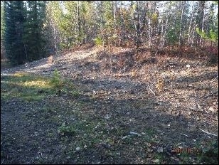 Wellsite in forest