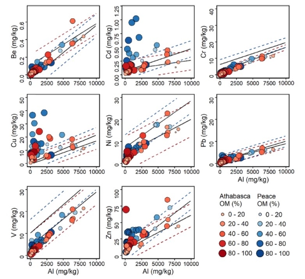 Metals in sediment biofilms