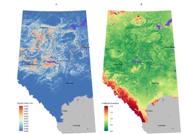 Canada warbler density