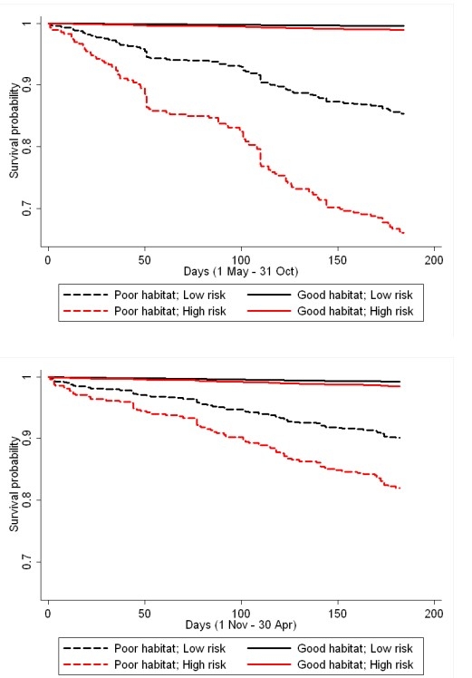 Predicted seasonal survival rates according to varying conditions of high and low resource selection probabilities (i.e., habitat) and wolf predation risk for adult female woodland caribou survival