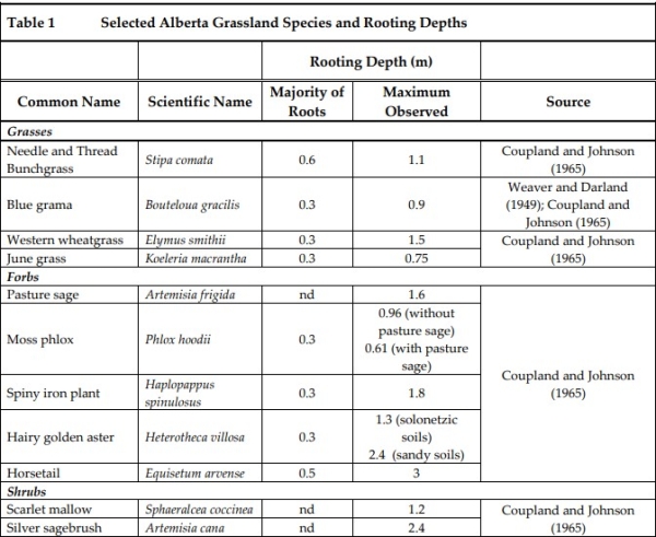 Grassland species rooting depth