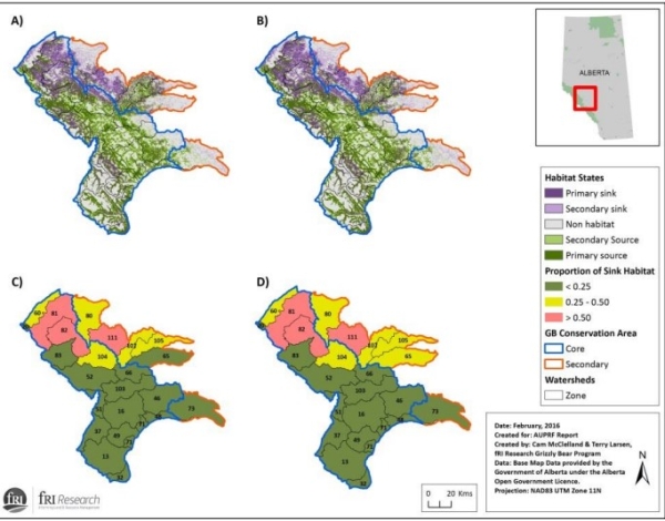 Grizzly bear habitat