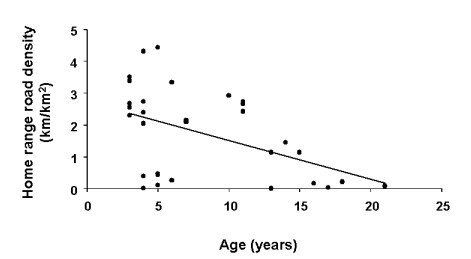 Grizzly bear home range and road density