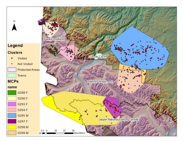 MCPs of all 8 grizzly bears with their sex (F or M) and locations of all clusters from GPS collar locations and those clusters visited