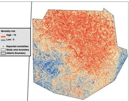 Grizzly bear mortality risk