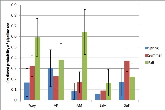 Grizzly bear use of pipelines by age class and season
