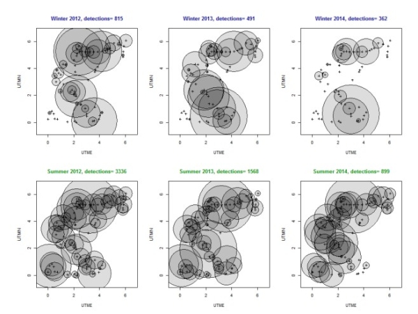 Spatio-temporal patterns of white-tailed deer detections across camera sampling sites