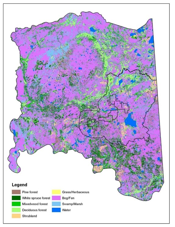 2010 native vegetation