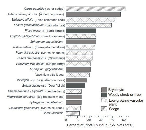 Peatland species in plots