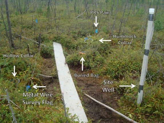 Peatland test site layout