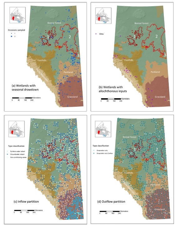 Isotope-based wetland classifications