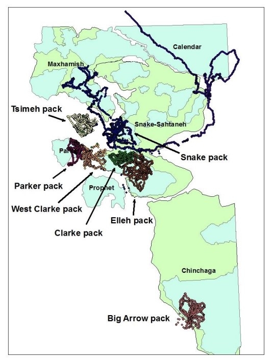 GPS locations from 15 wolves distributed among seven packs in northeast British Columbia