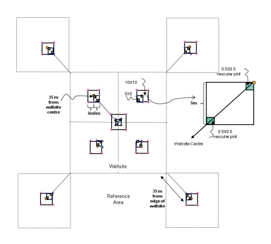 ERMP Plot Layout