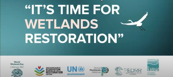 world wetlands day webinar 2023