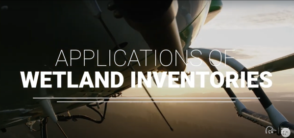 Wetland inventories