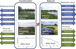 Comparing wetland types