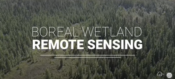 boreal wetlands remote sensing