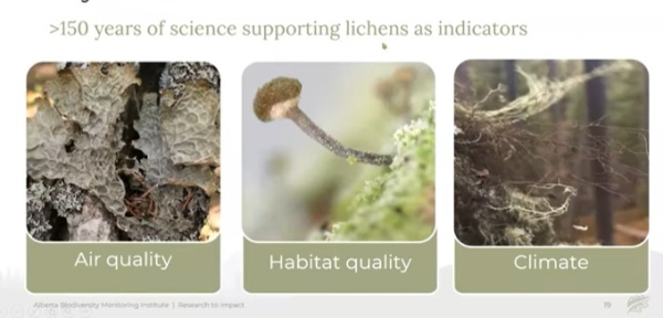 ABMI lichens webinar