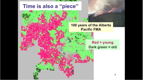 Andison - Ecosystem management