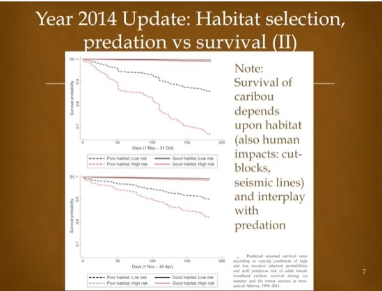 Caribou survival factors