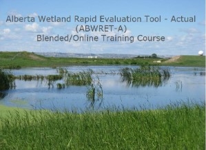 SALMTEC ABWRET-A course