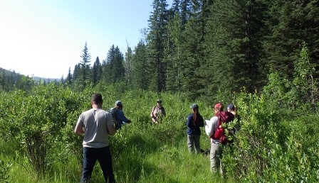 SALMTEC Blended course