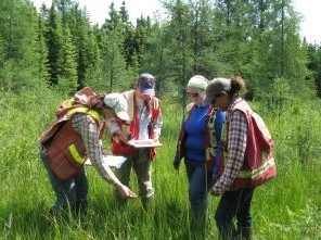 SALMTEC field course