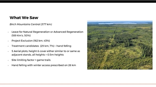 Birch Mountains Seismic Lines