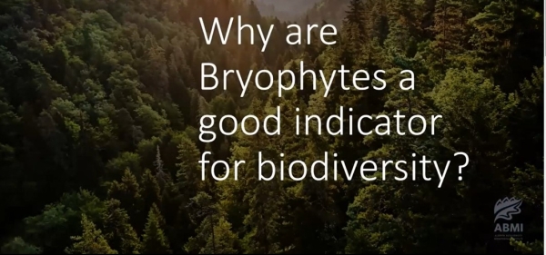 Bryophytes as biodiversity indicators