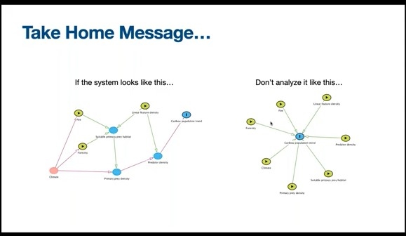 Caribou causal analysis
