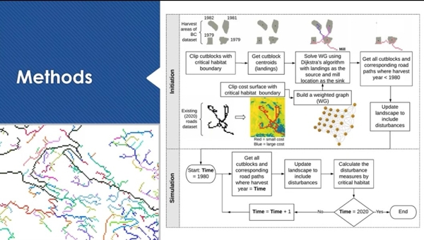 Forestry impacts on caribou