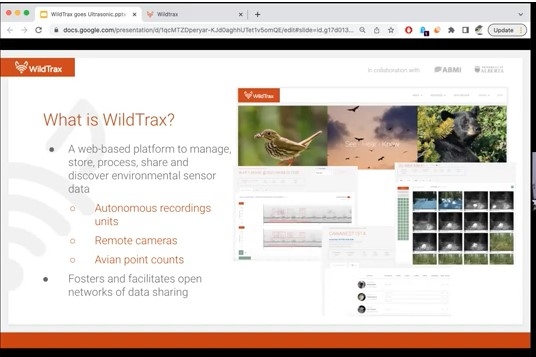 WildTrax website