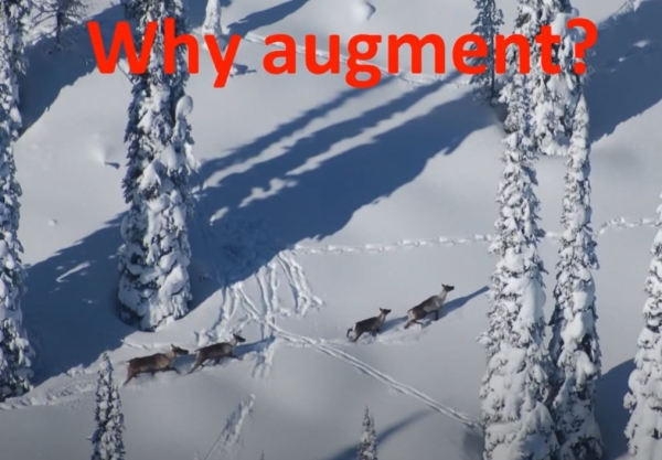 carib augment prev.JPG