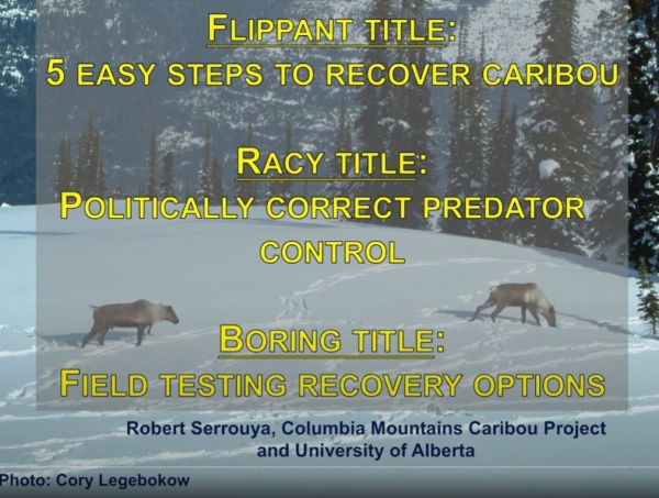 carib recov prev.JPG