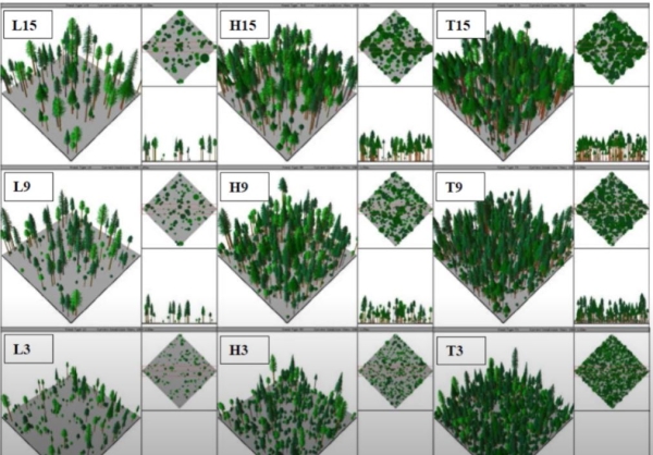 hicks adapt manage montana