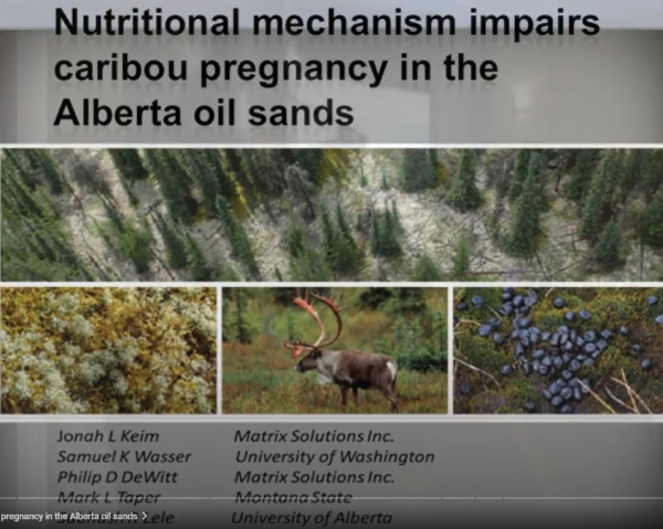 nutri mech carib prev.JPG