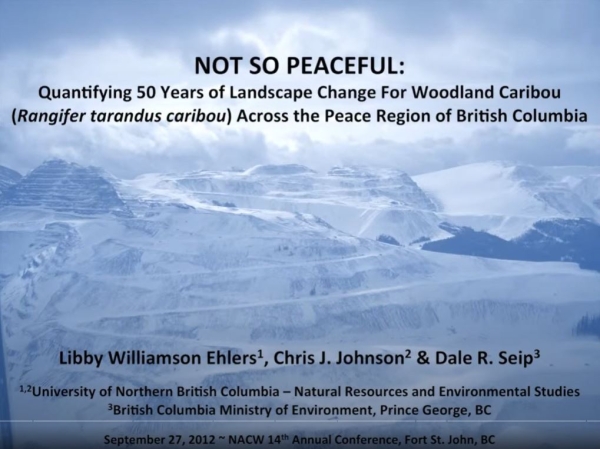 peace land carib prev.JPG