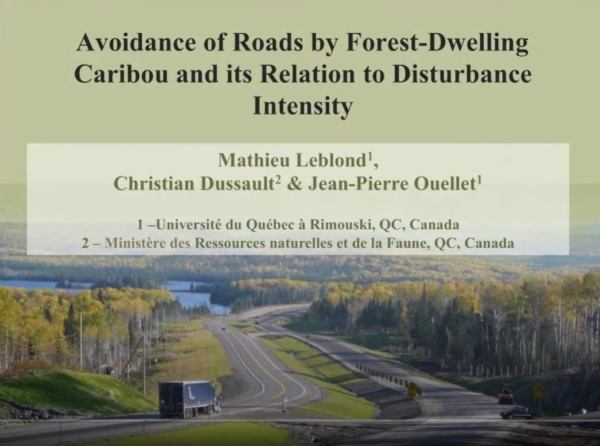 roads carib prev.JPG