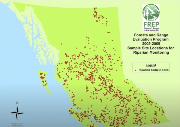 streammanage tripp.JPG