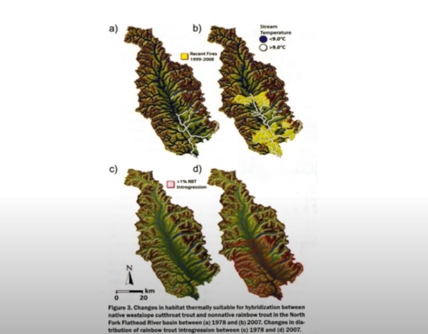 tri-creeks study.JPG