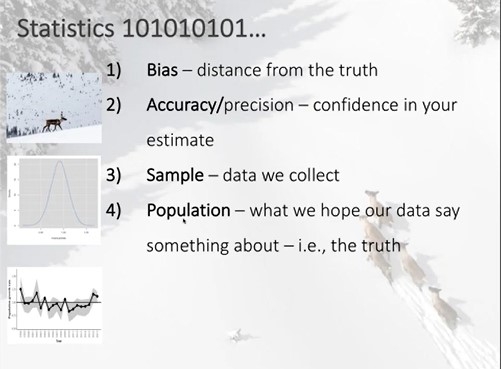 Caribou population models