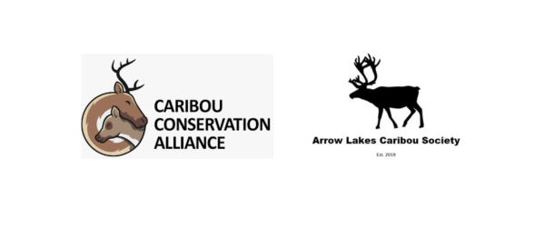 Image shows two logos - that of the Caribou Conservation Alliance, and of the Arrow Lakes Caribou Society